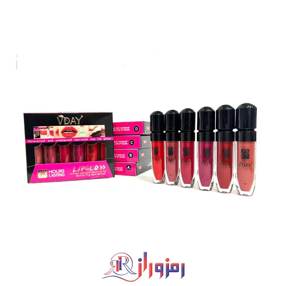 رژلب مایع ویدی vday پک 6 عددی،خرید و قیمت رژلب مایع ویدی vday پک 6 عددی
